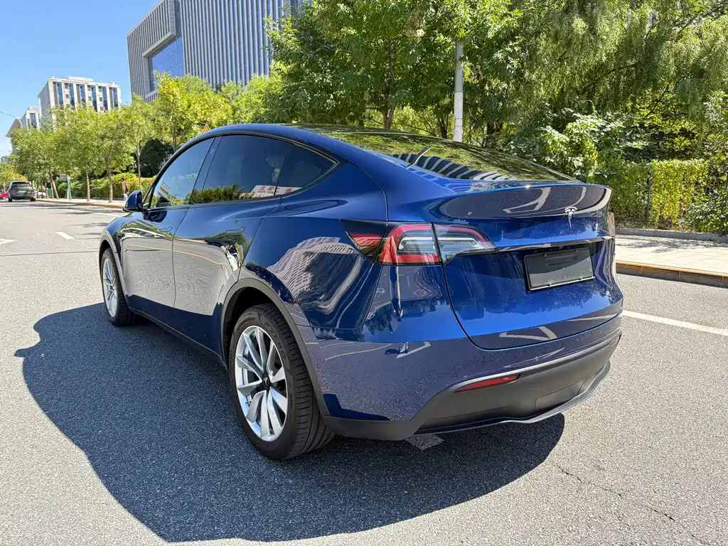 Tesla Model Y — миниатюра 4
