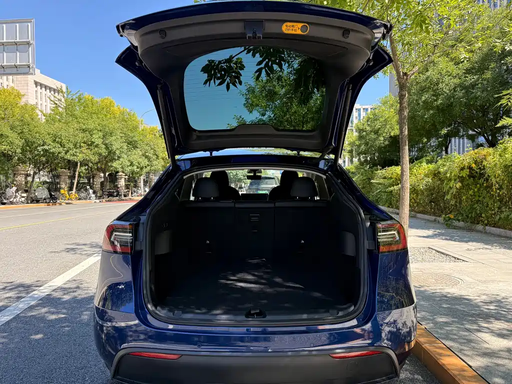 Tesla Model Y — миниатюра 14