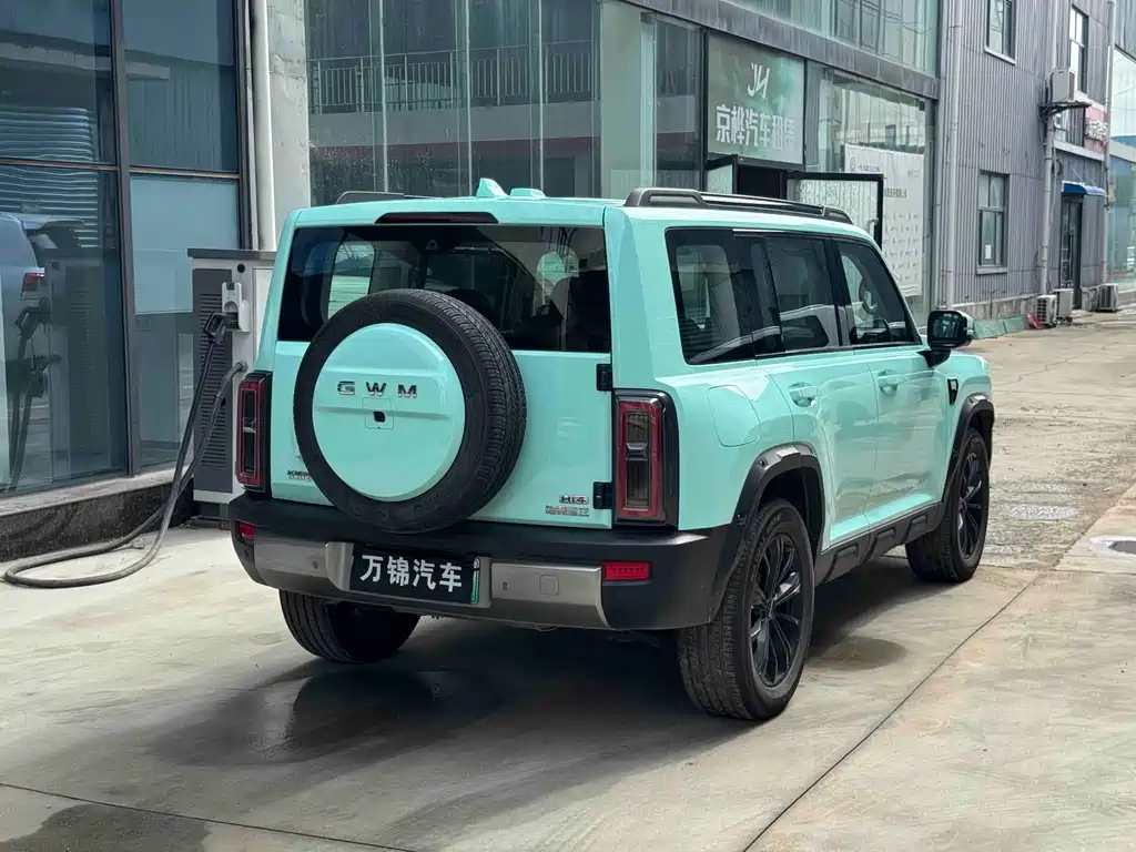 Haval Menglong New Energy — миниатюра 4