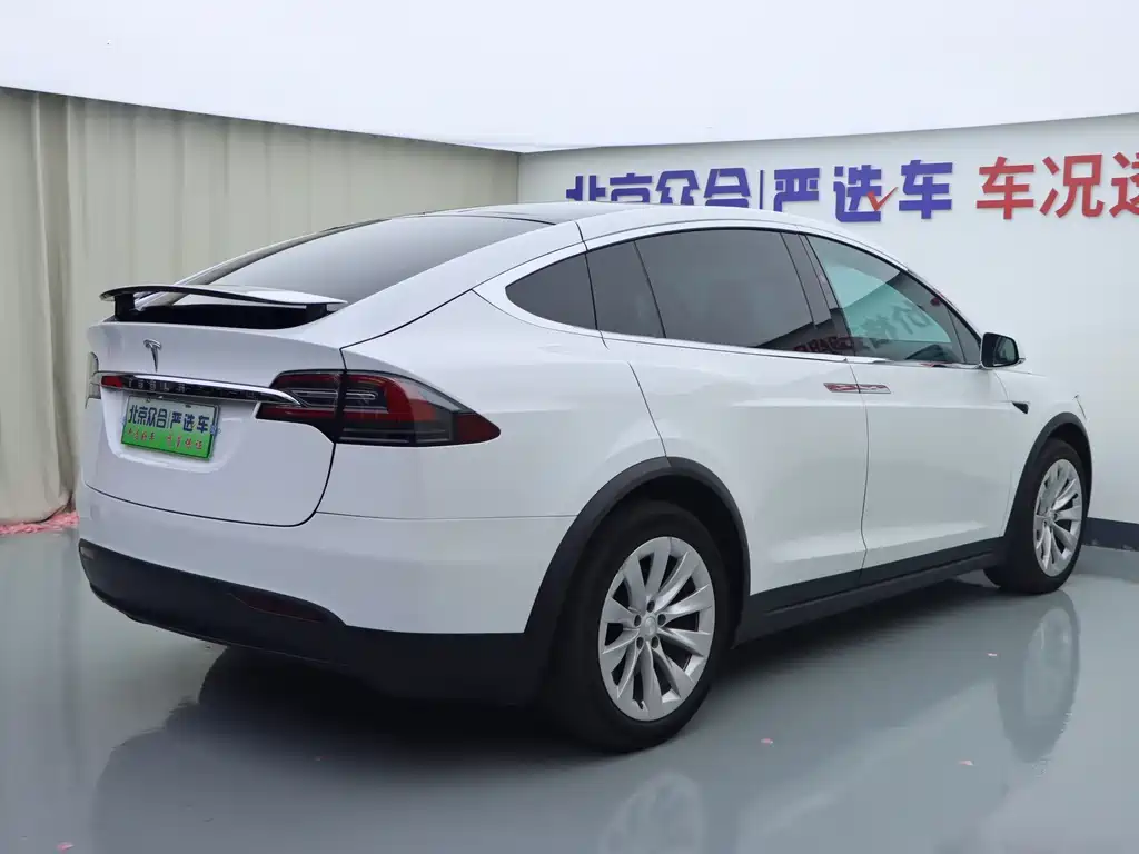 Tesla Model X — миниатюра 24