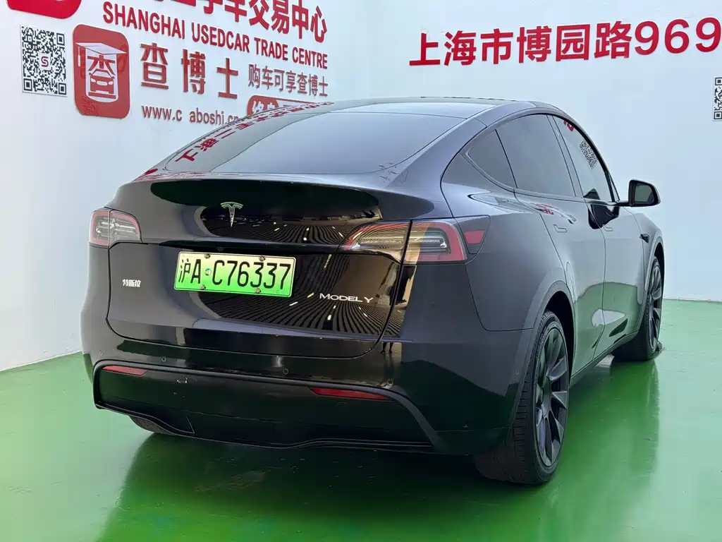 Tesla Model Y — миниатюра 19