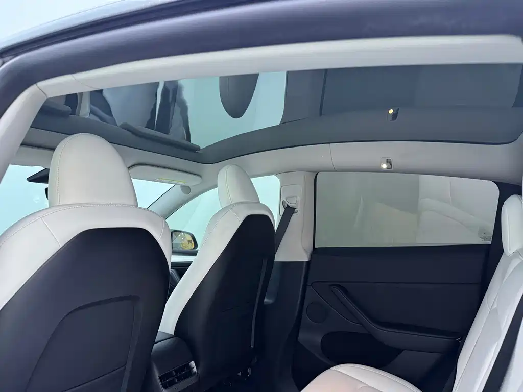 Tesla Model Y — миниатюра 7