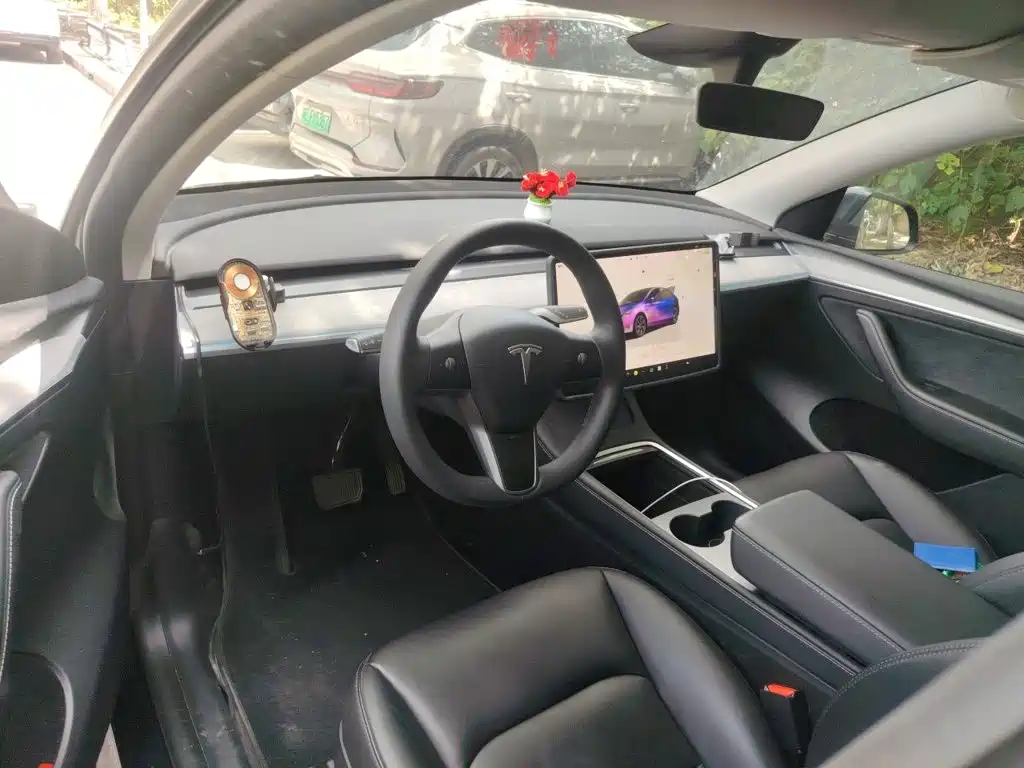Tesla Model Y — миниатюра 10