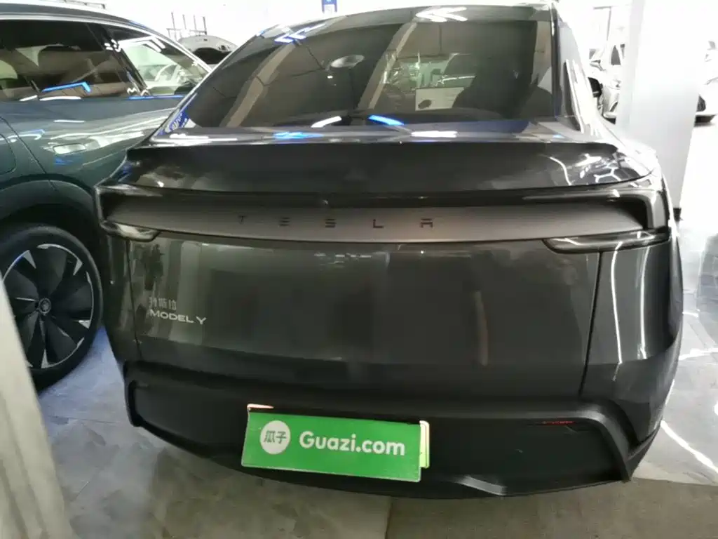 Tesla Model Y — миниатюра 6