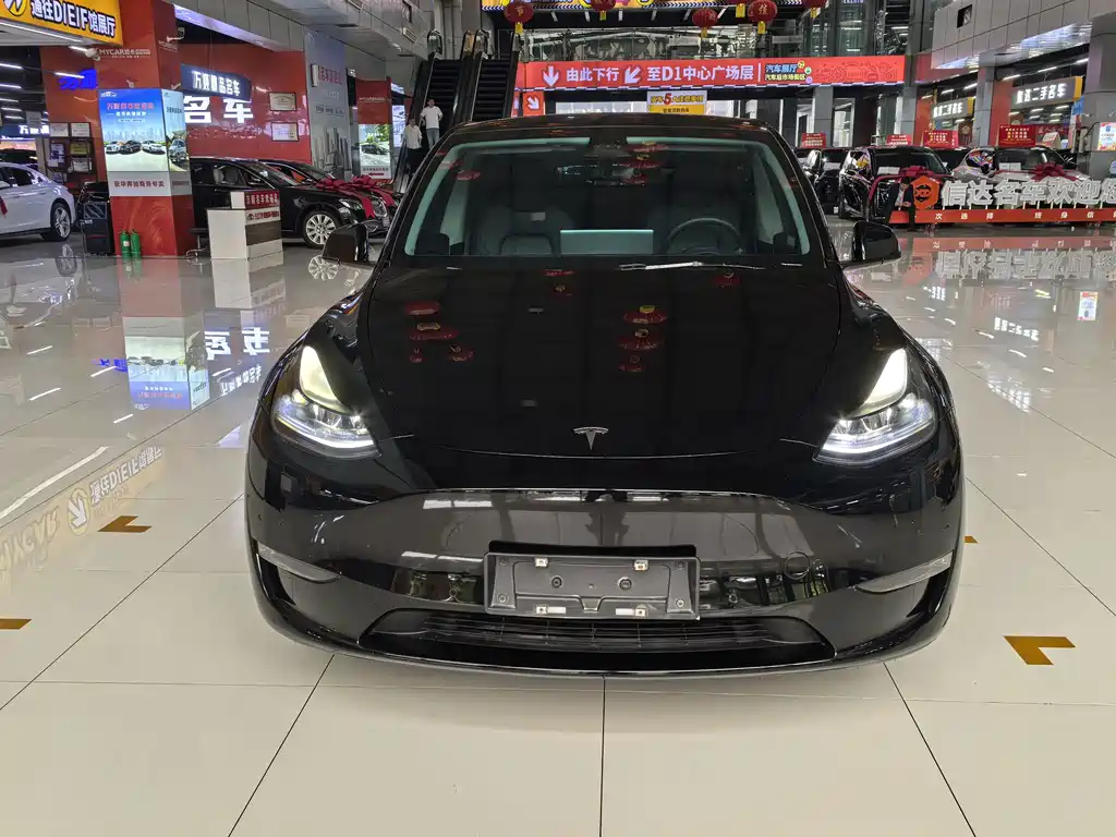 Tesla Model Y — миниатюра 2