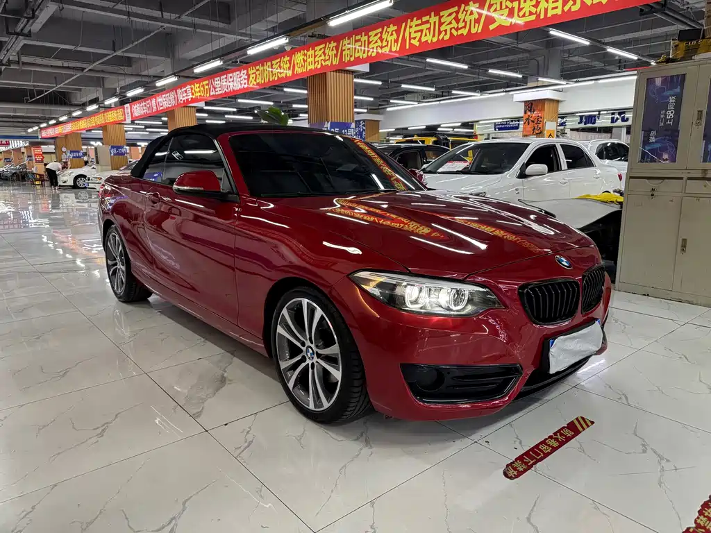 BMW 2 Series (Import) — миниатюра 3