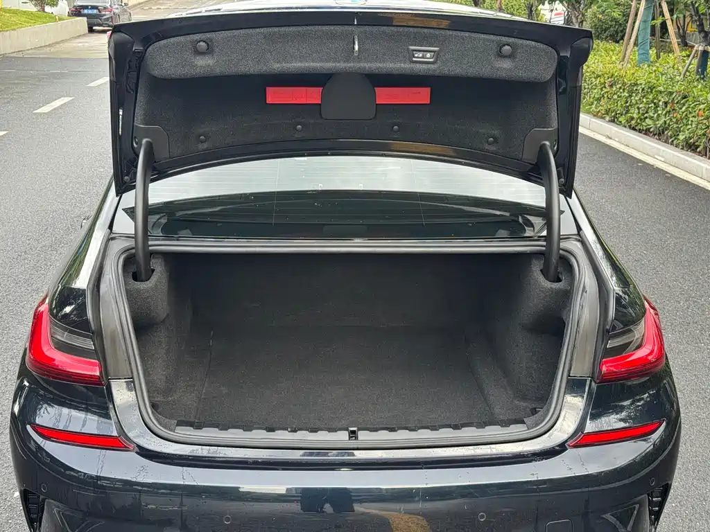BMW 3 Series 3 2022 325Li M Sport