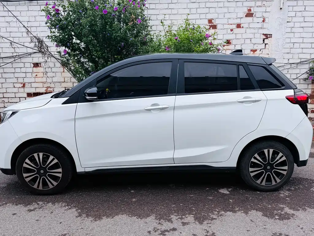 Dongfeng EV YOUNG Guang Xiaoxin — миниатюра 3