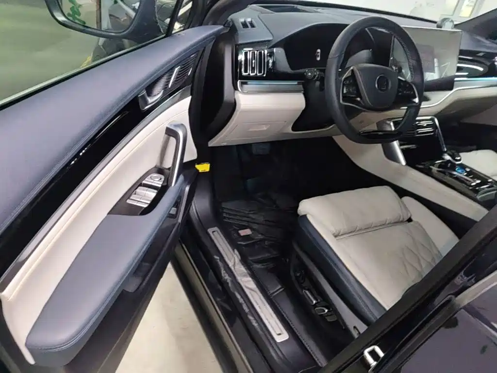 BYD Tang New Energy — миниатюра 16