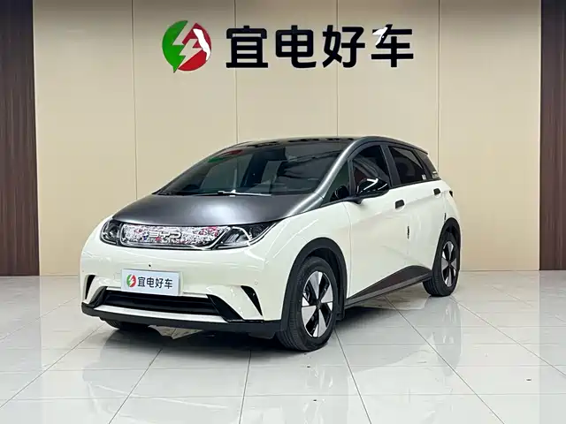 byd dolphin