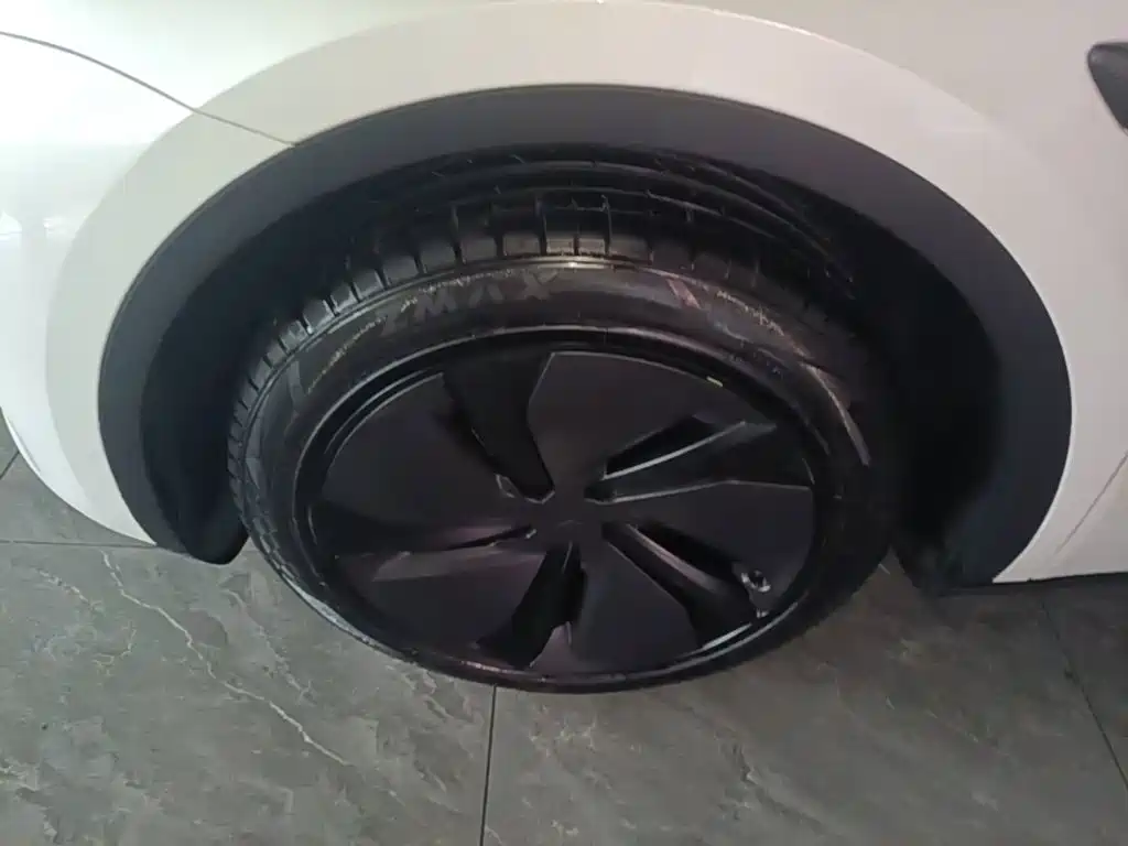 Tesla Model Y — миниатюра 23
