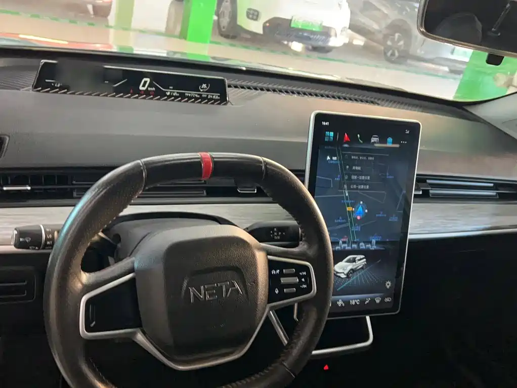 Neta Neta V — миниатюра 10
