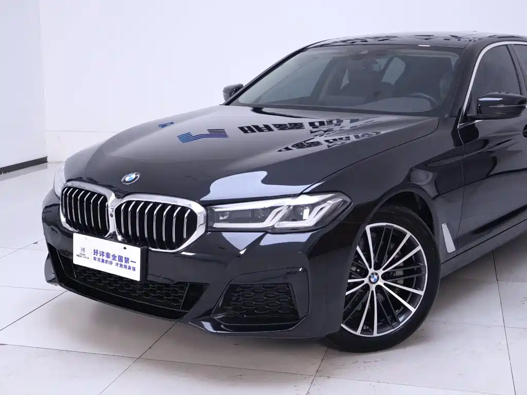 BMW 5 Series — миниатюра 3