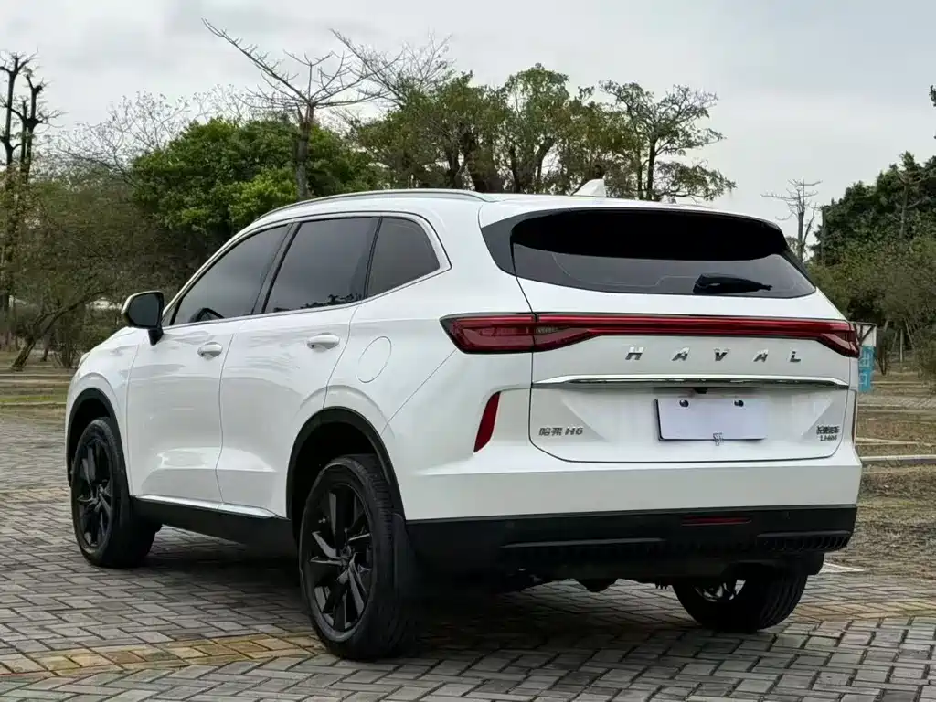 Haval H6 — миниатюра 12