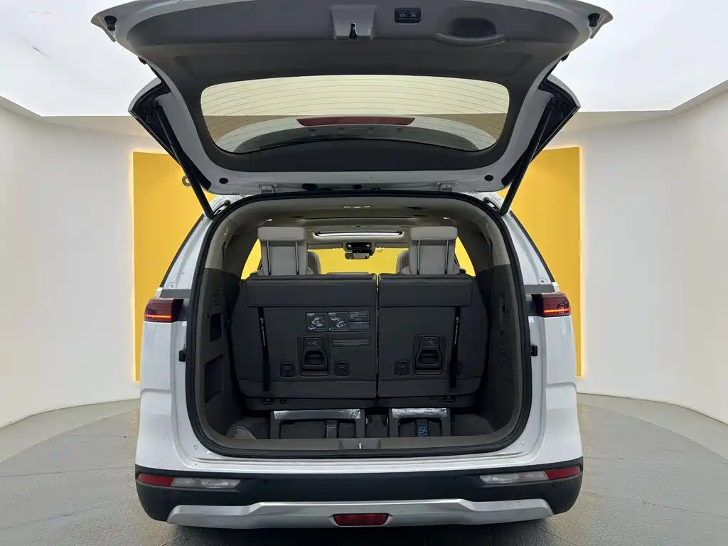 Kia Carnival — миниатюра 12