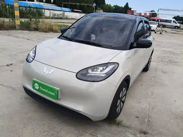 2024 Wuling Motors Binguo