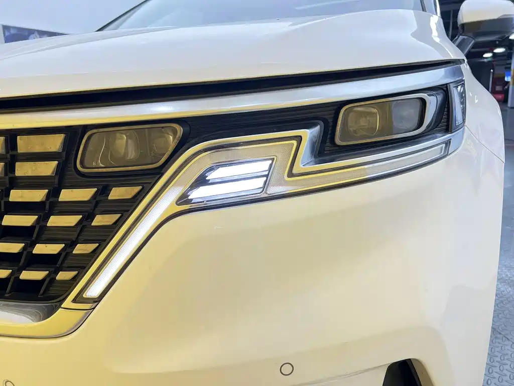 Kia Carnival — миниатюра 8