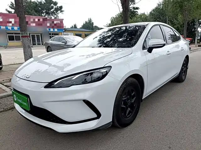 2025 BYD Sea Lion