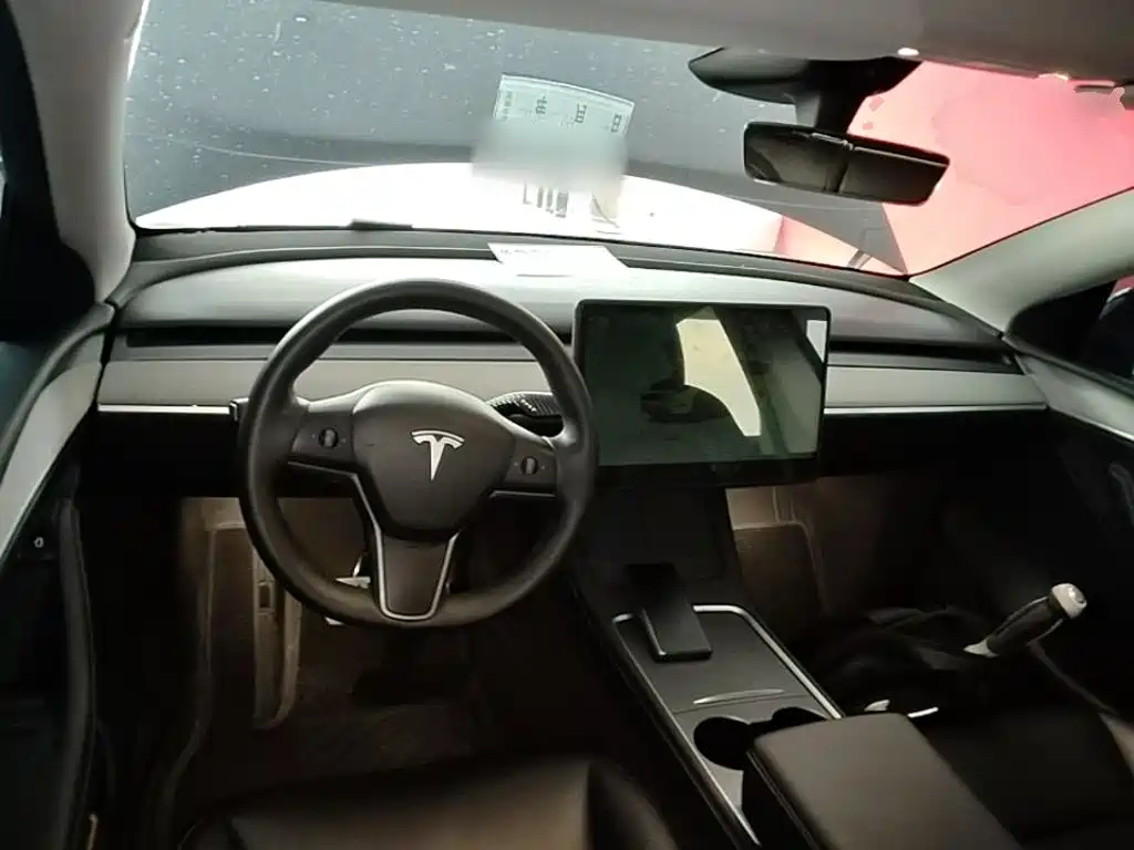 Tesla Model Y — миниатюра 10