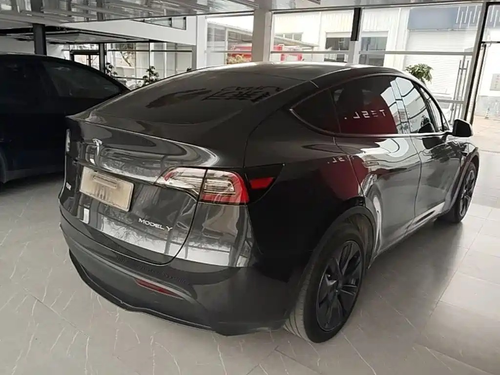 Tesla Model Y — миниатюра 7