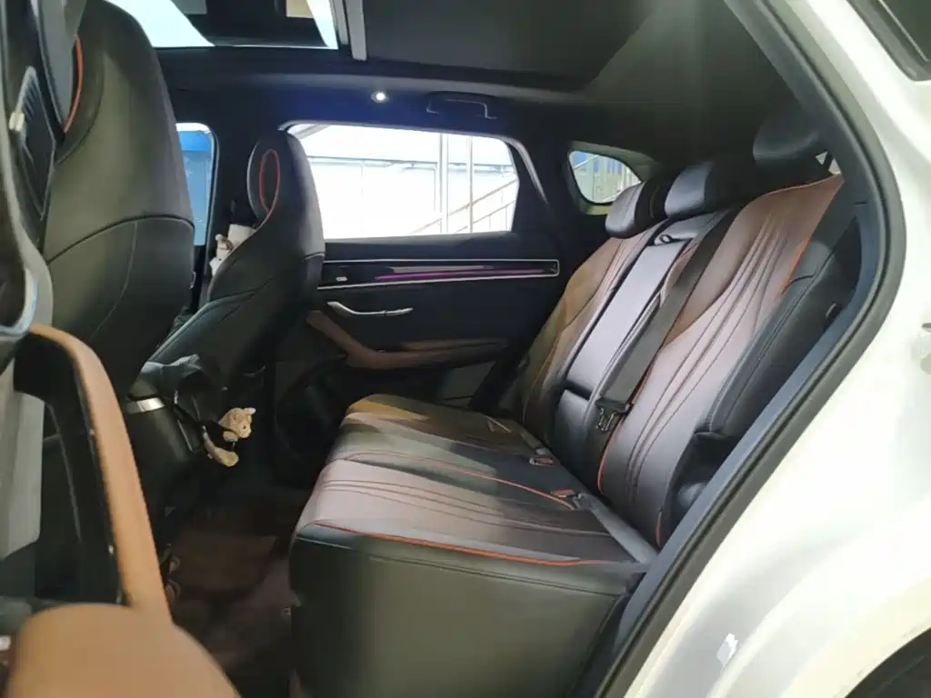 BYD PLUS — миниатюра 17