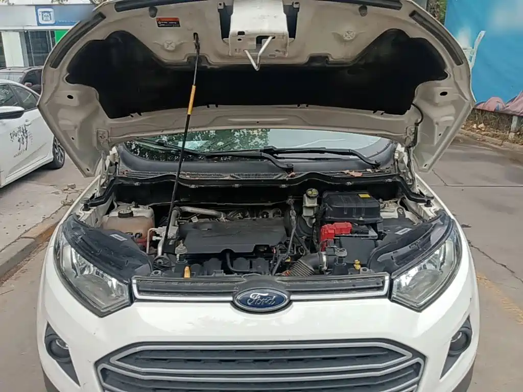 Ford Ecosport — миниатюра 20