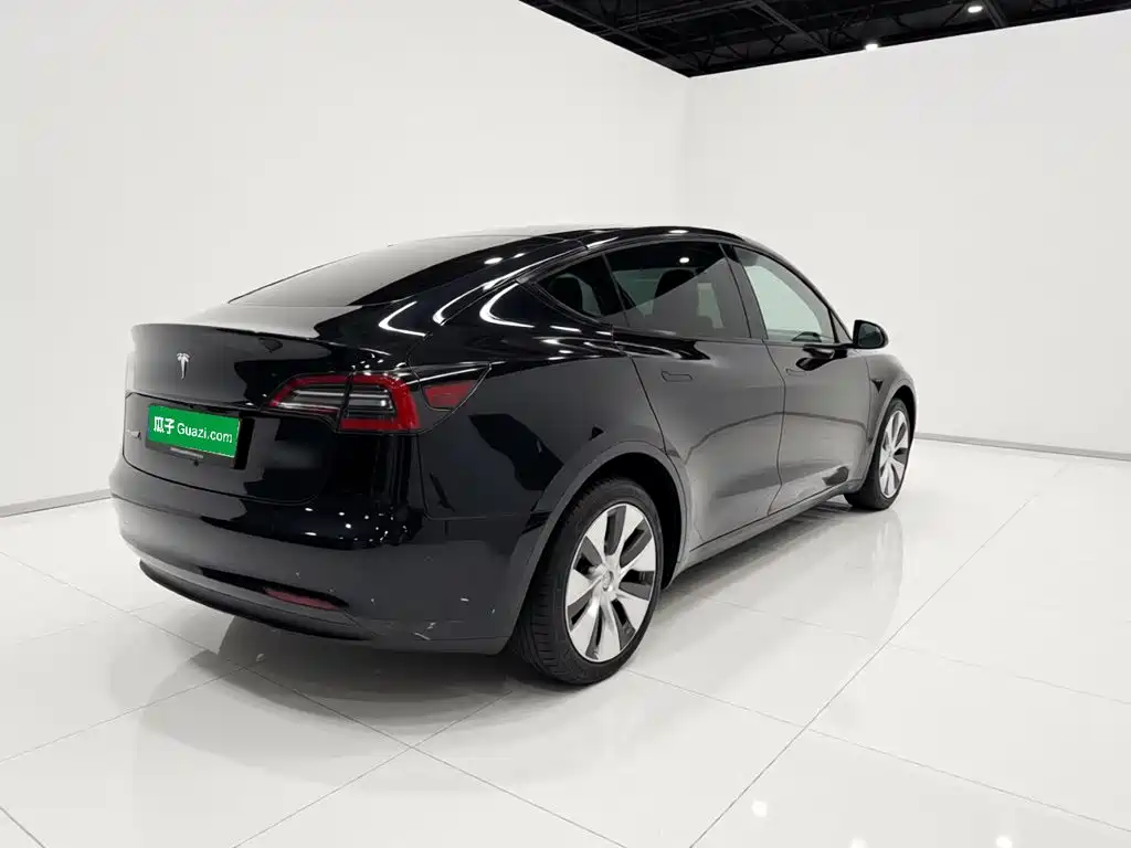 Tesla Model Y — миниатюра 6