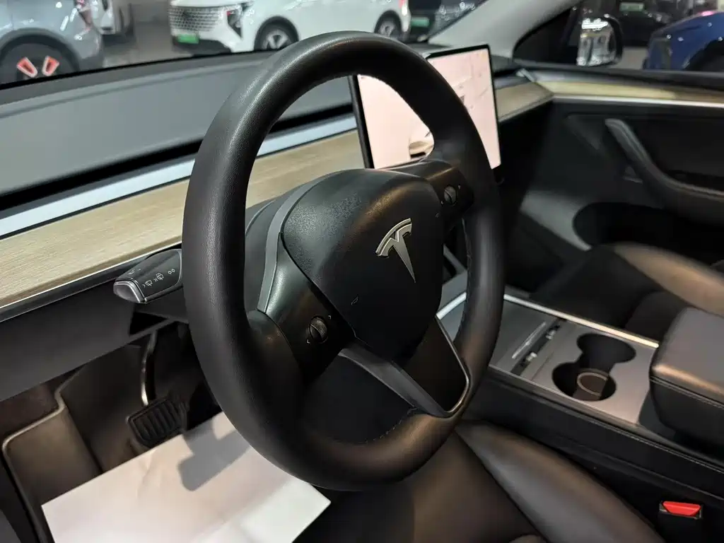 Tesla Model Y — миниатюра 7
