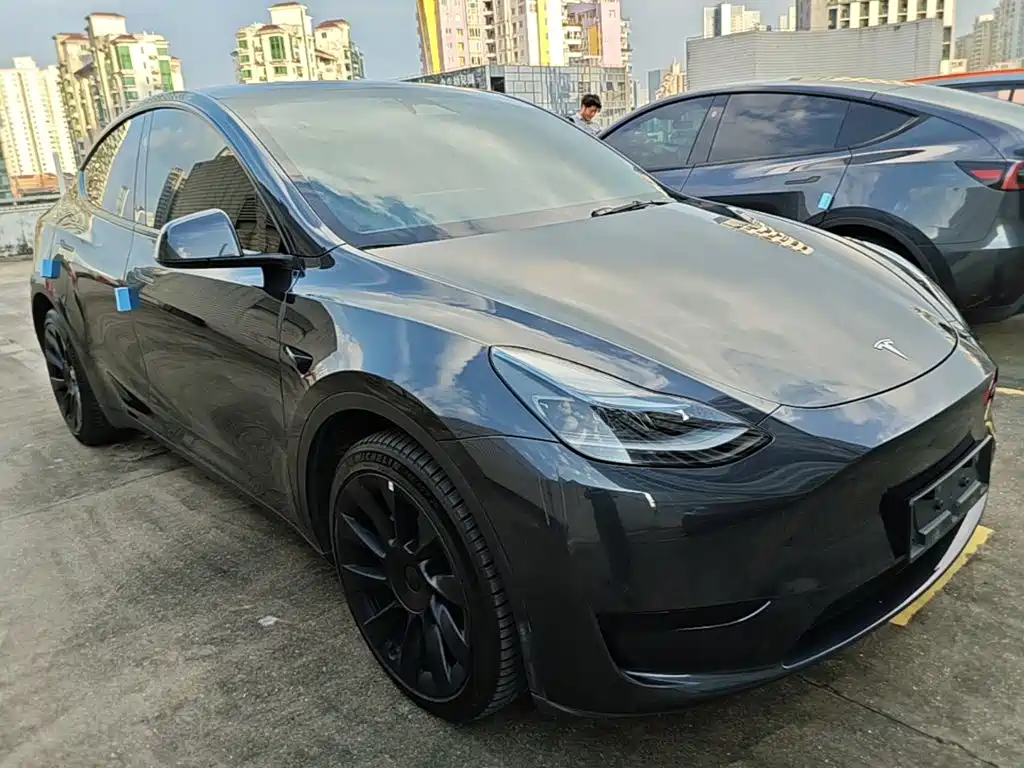 Tesla Model Y — миниатюра 23