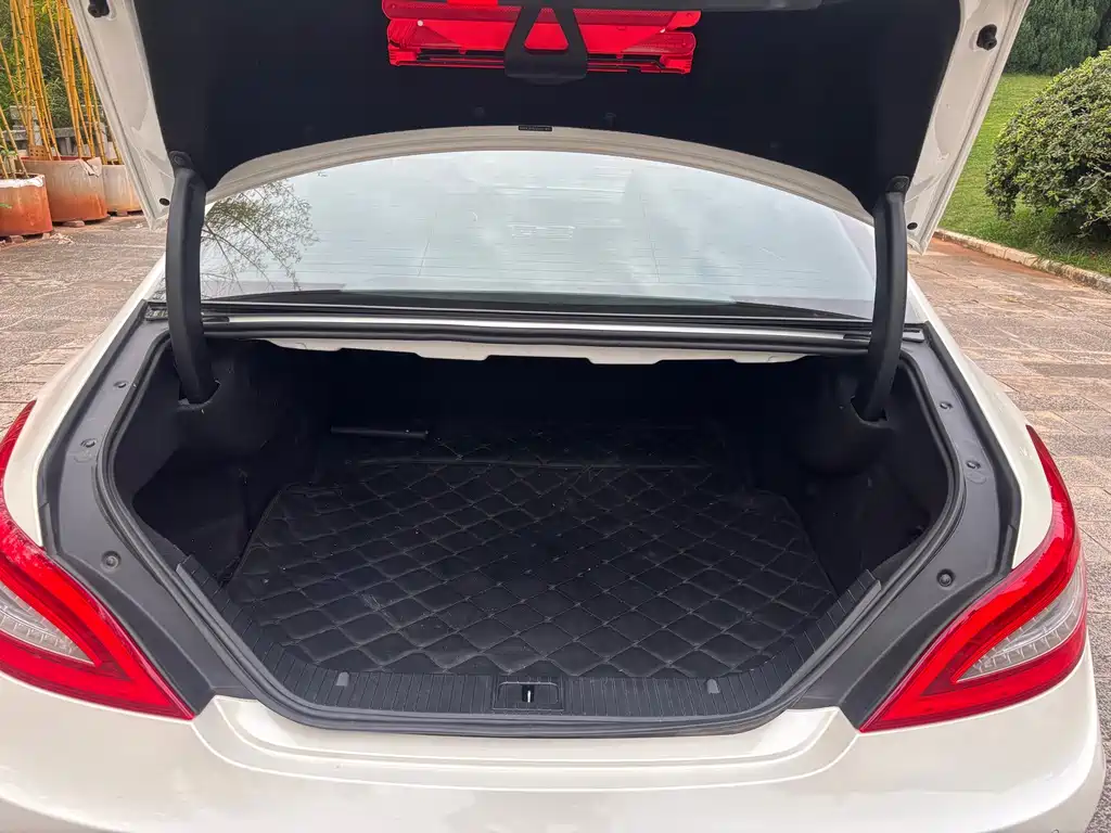 Mercedes-Benz CLS — миниатюра 19