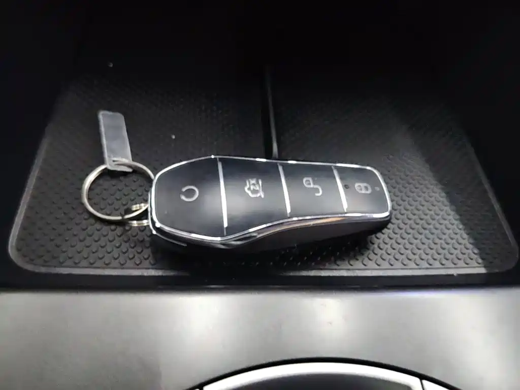 BYD Sealion 05 DM-i — миниатюра 9