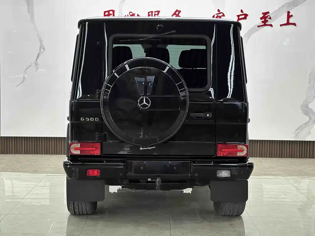 Mercedes-Benz G-Class G 2010 G 500