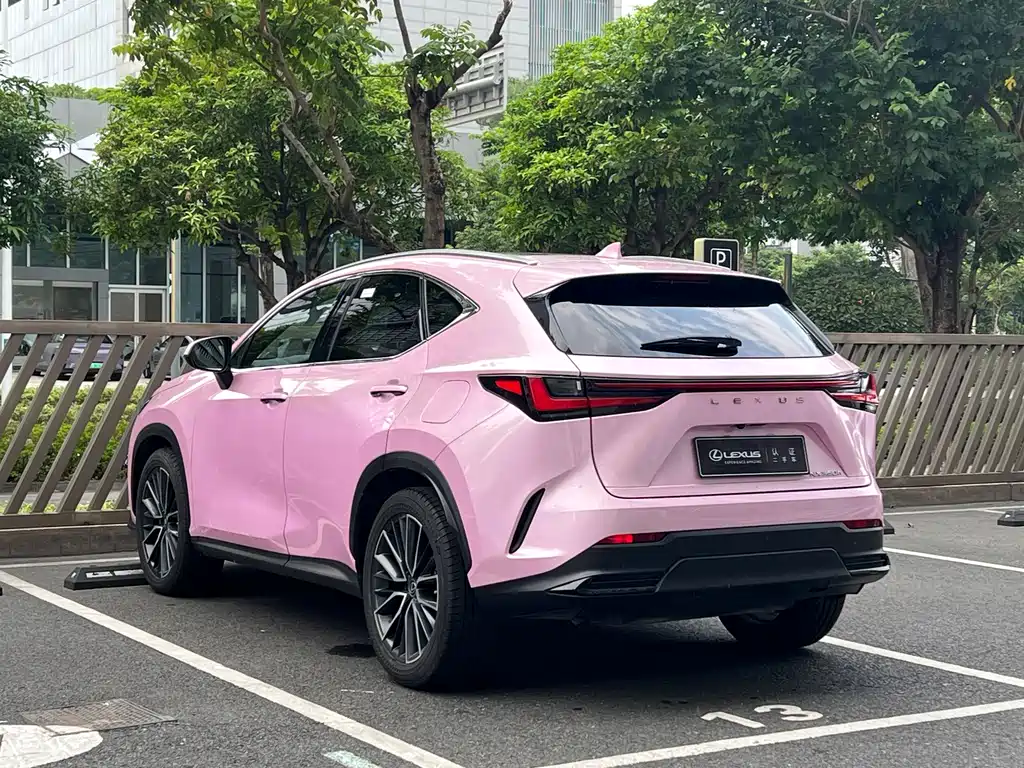 Lexus NX — миниатюра 17