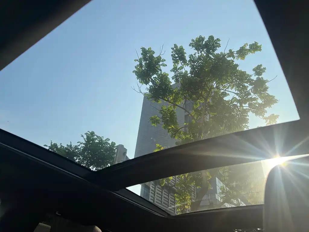 Lexus RX New Energy — миниатюра 8