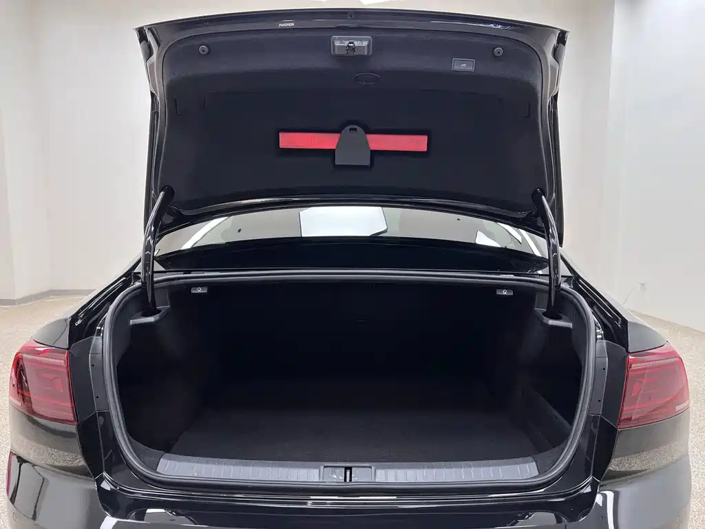 Volkswagen Magotan — миниатюра 2