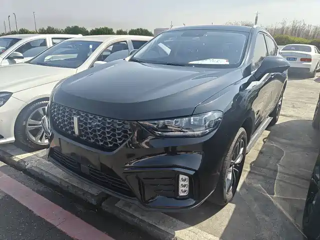 WEI PAI WEI BRAND VV5 2020