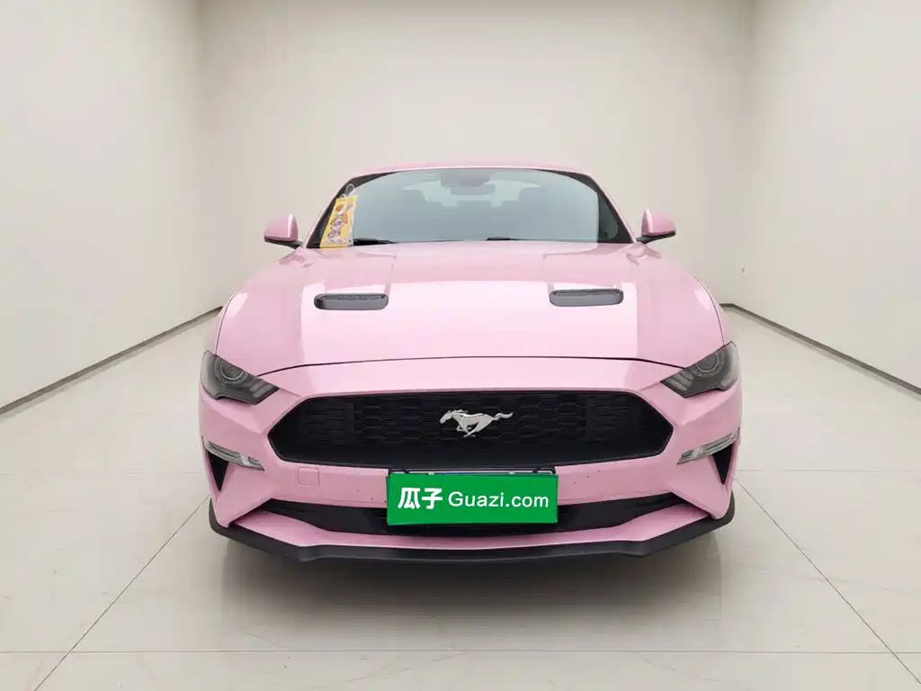 Ford Mustang — миниатюра 2