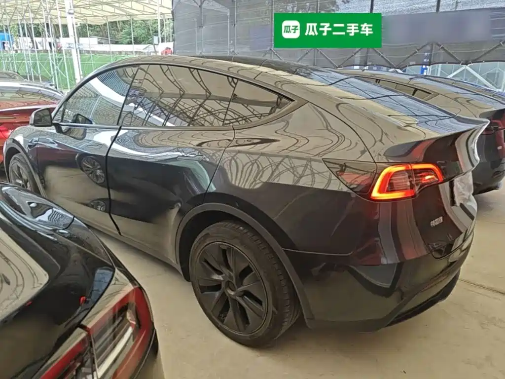 Tesla Model Y — миниатюра 5