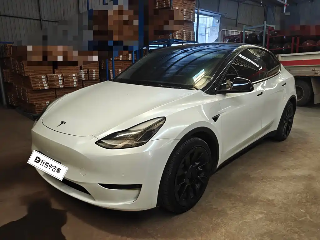 Tesla Model Y — миниатюра 2