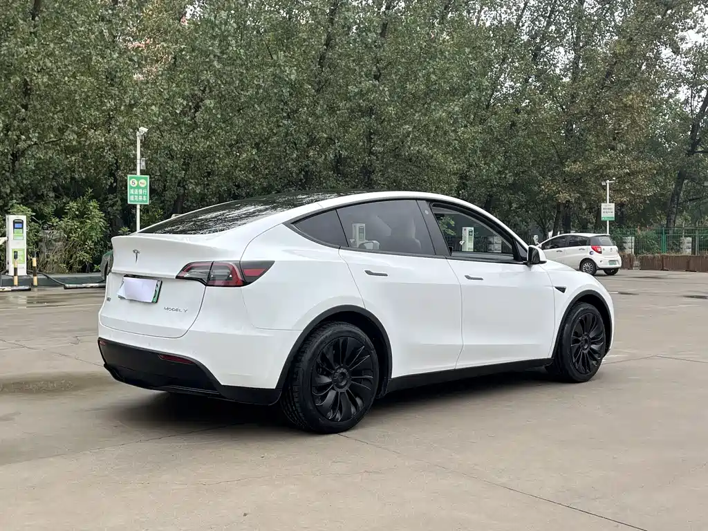 Tesla Model Y — миниатюра 4