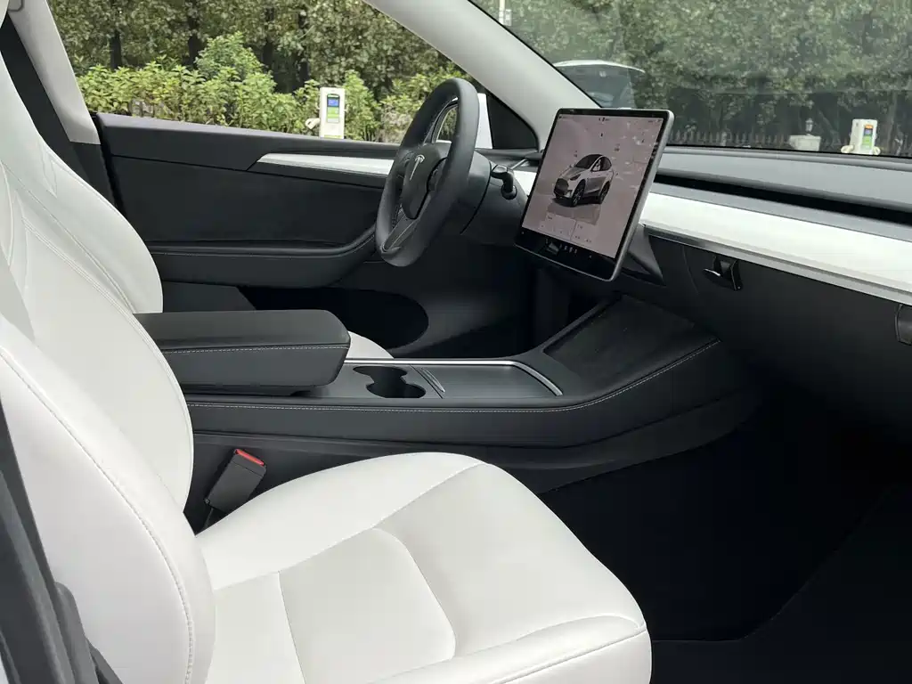 Tesla Model Y — миниатюра 13
