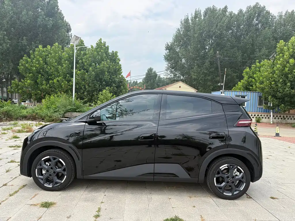 BYD Seagull 2025 Smart Drive 305km Freedom