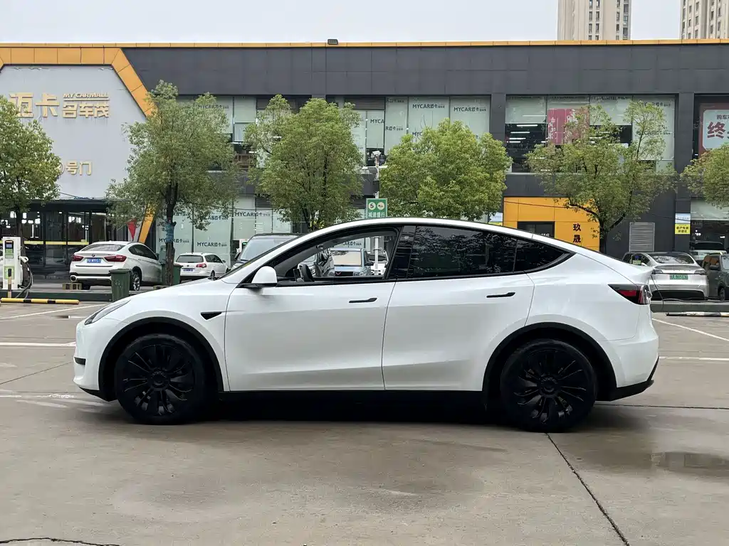 Tesla Model Y — миниатюра 6