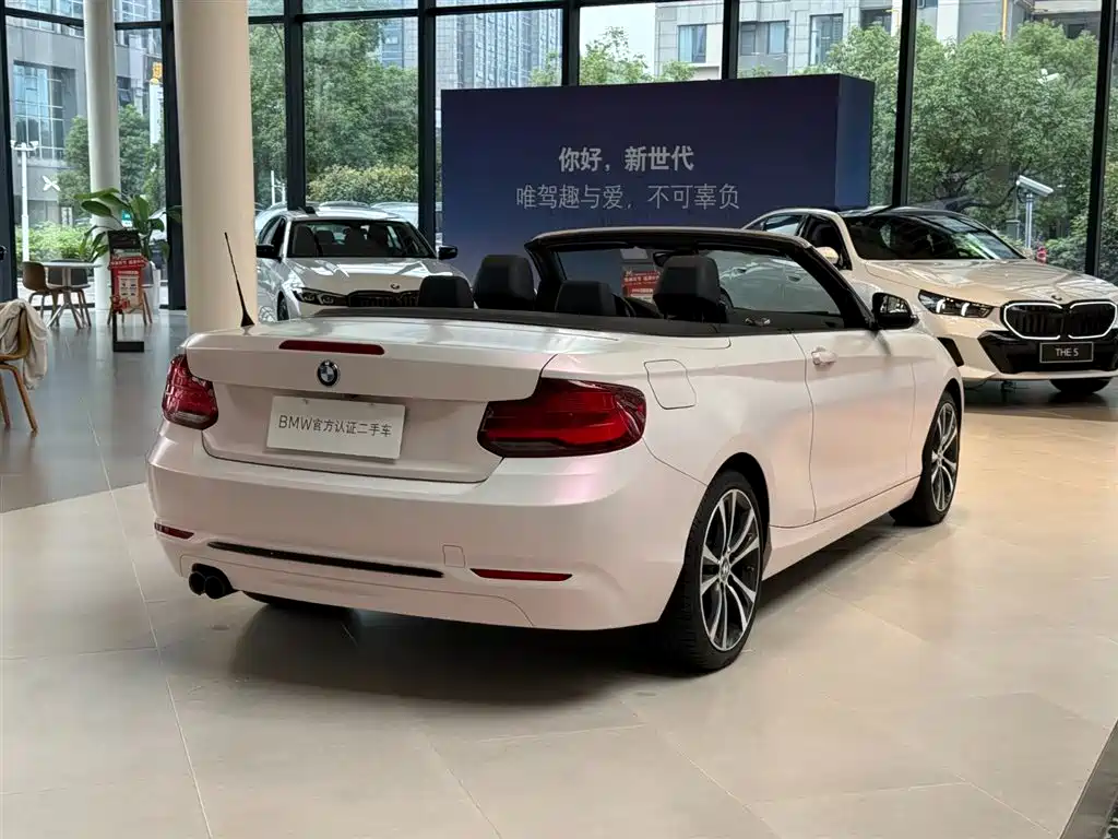 BMW 2 Series (Import) — миниатюра 8