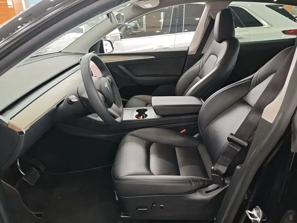Tesla Model Y — миниатюра 15