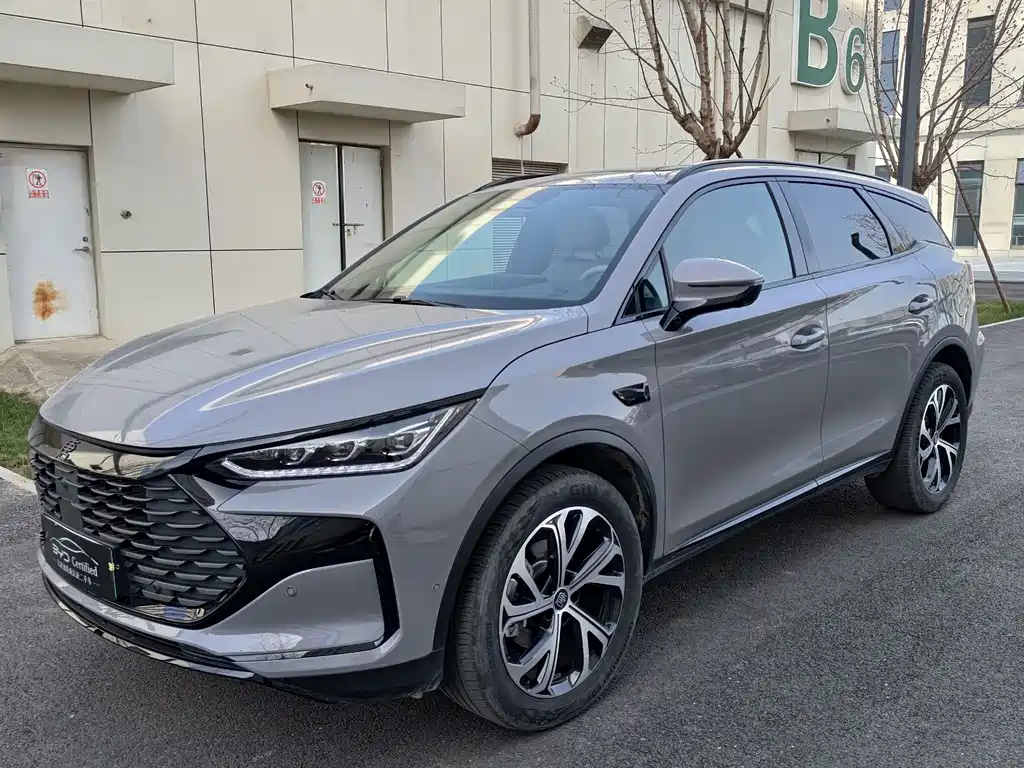 Byd Tang New Energy 2025