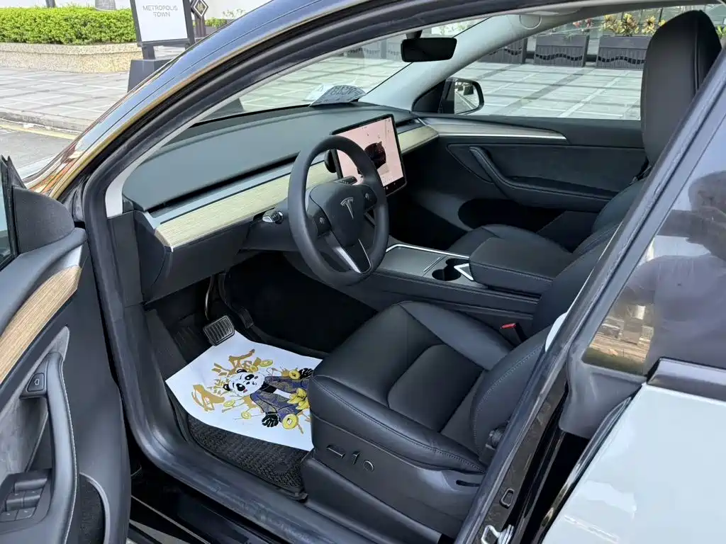 Tesla Model Y — миниатюра 4