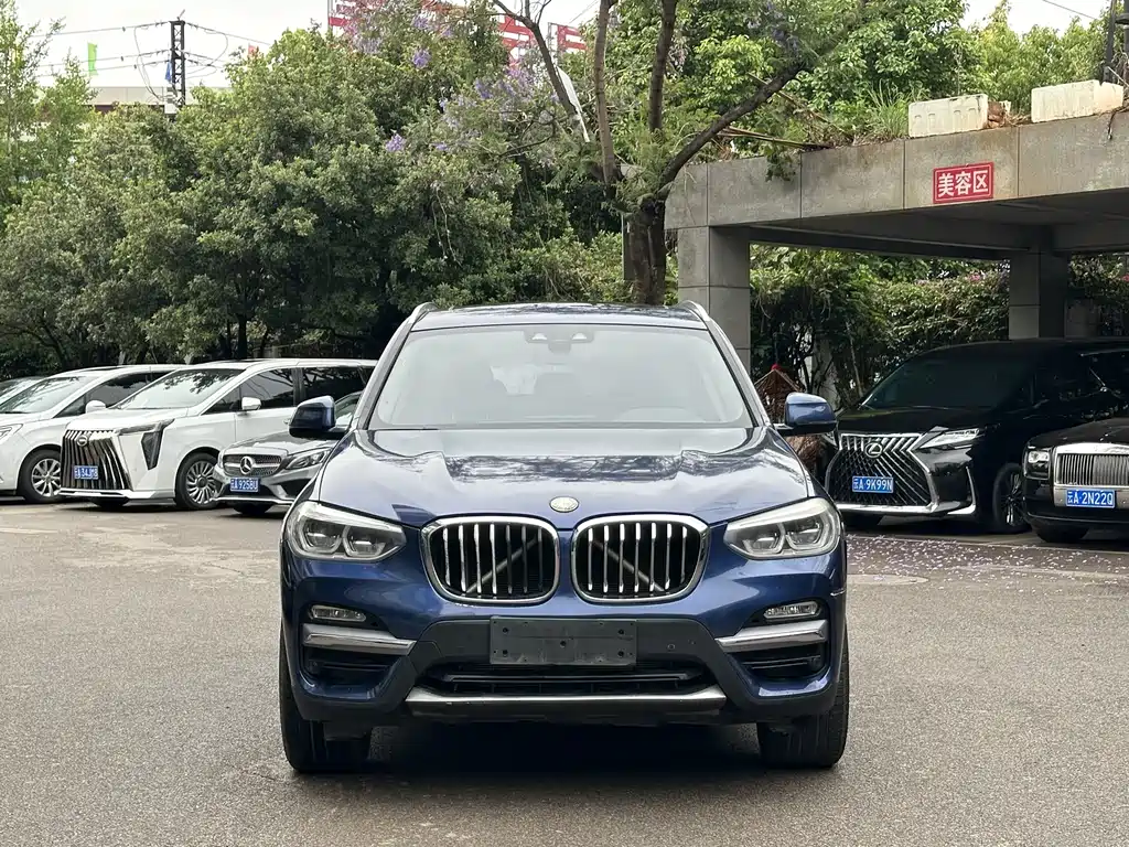 BMW X3 2018 xDrive28i Luxury VI
