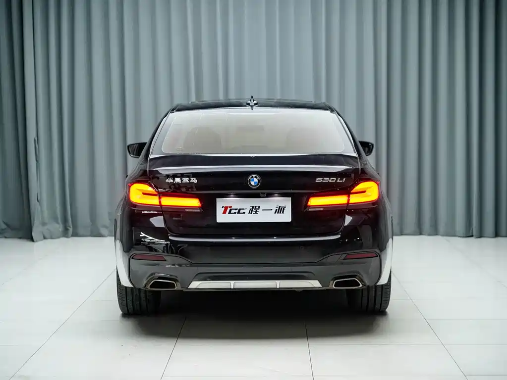 BMW 5 Series — миниатюра 11