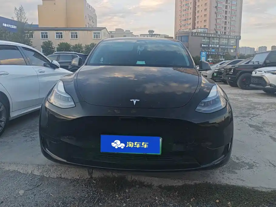 Tesla Model Y — миниатюра 2